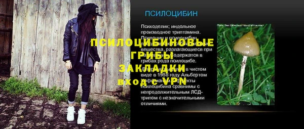 гашик Аркадак